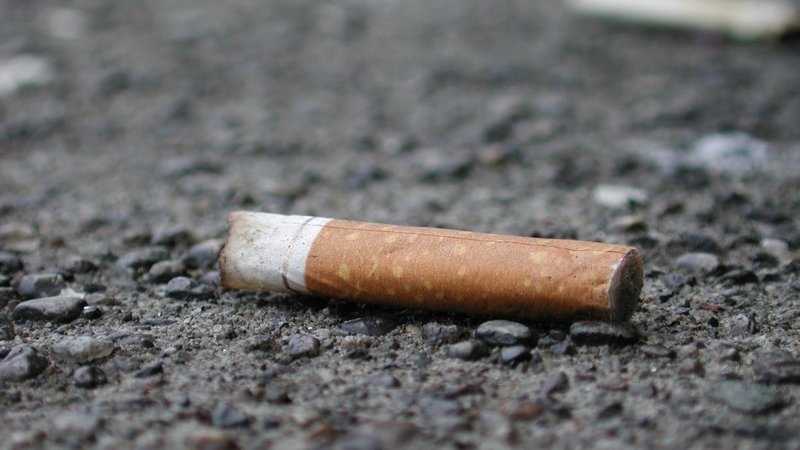 Sigara İzmaritleri Yol Asfaltında Kullanılmaya Başlandı!