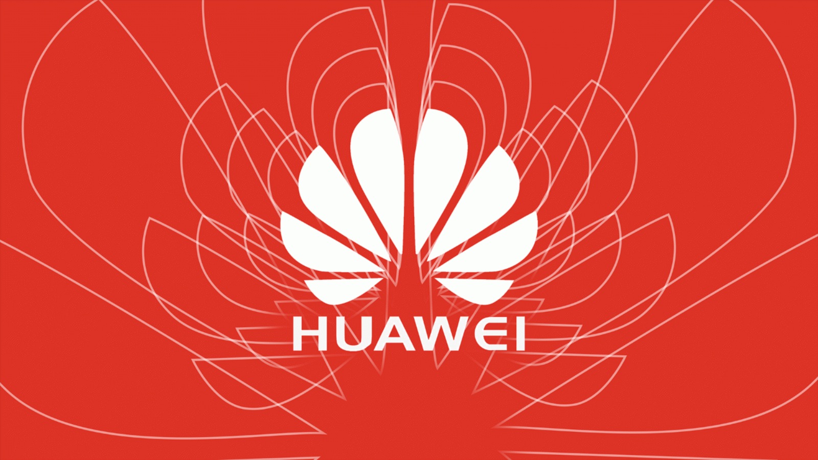 Huawei 2024 İlk Çeyrekte Gelirlerini Katladı
