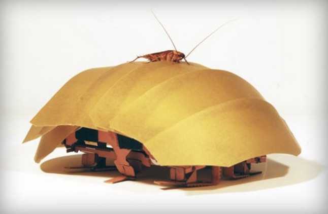 Bu Robot Hamamböceği Arama-Kurtarmanın Geleceği Olabilir