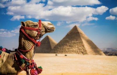 Mısır Pamuğunun Blockchain ile Tanışma Vakti