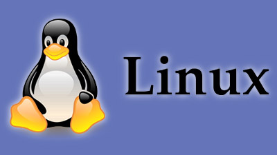 Siber Güvenlikte Neden Linux İşletim Sistemi Tercih Edilmektedir?